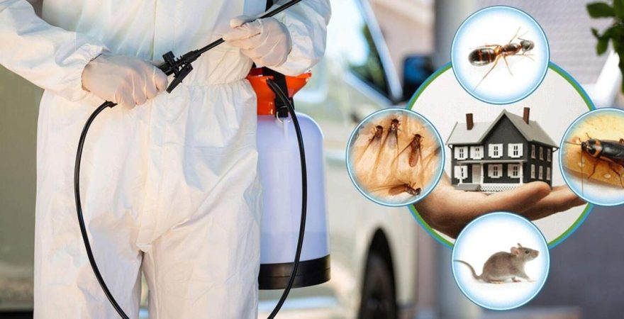 Bakırköy Böcek İlaçlama