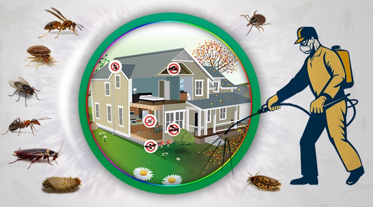 Bakırköy Böcek İlaçlama