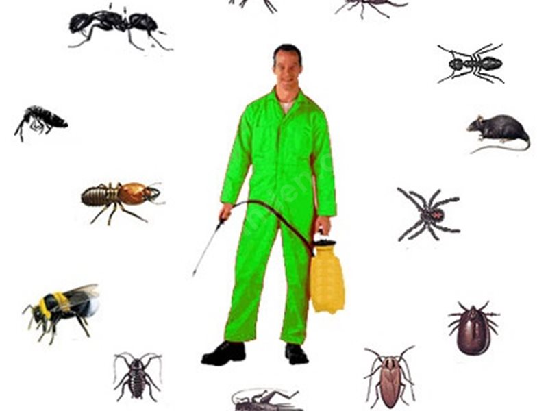 Bakırköy Böcek İlaçlama